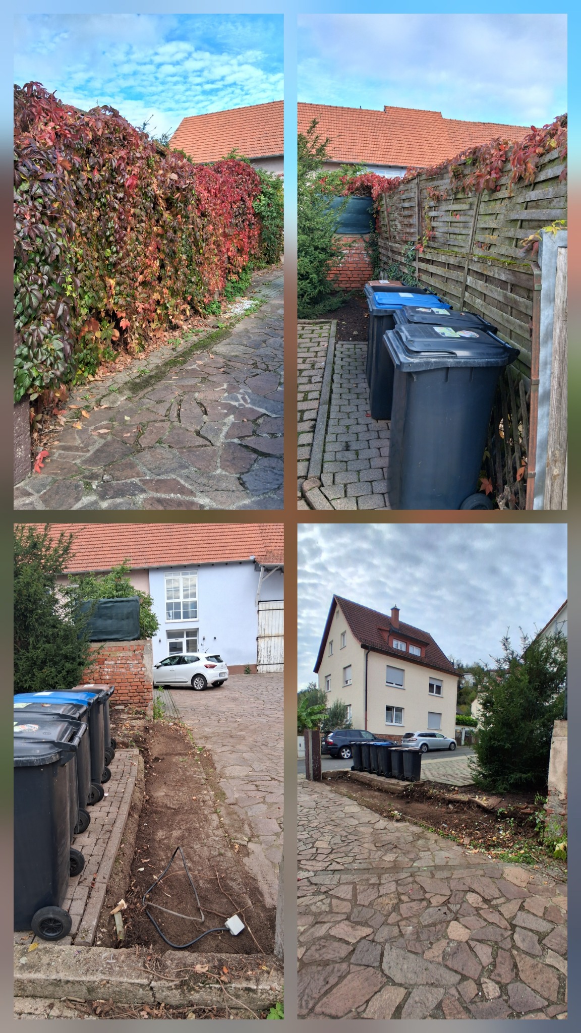 Gartenpflege und Unkrautentfernung beim Hausmeisterservice in Bad König